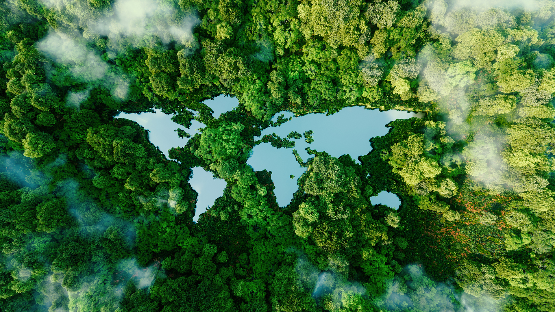 Worldmap and forest