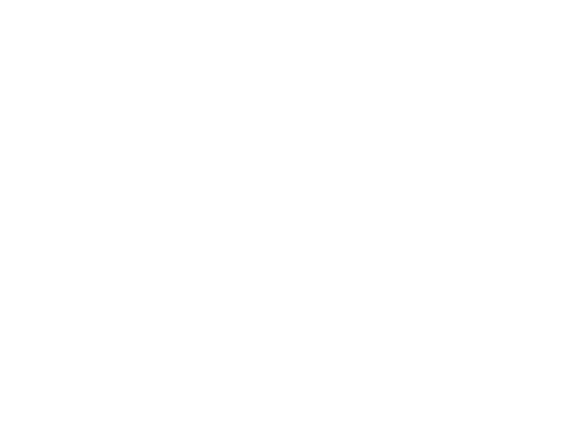 Haskoning, Enhancing Society Together